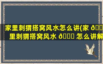 家里刺猬搭窝风水怎么讲(家 🐕 里刺猬搭窝风水 🐅 怎么讲解)